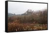 Castle of Berze-Le-Chatel on the Way to Cluny, Burgundy, France, Europe-Oliviero-Framed Stretched Canvas