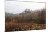 Castle of Berze-Le-Chatel on the Way to Cluny, Burgundy, France, Europe-Oliviero-Mounted Photographic Print