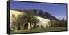 Castle of Good Hope, Cape Town, Western Cape, South Africa, Africa-Ian Trower-Framed Stretched Canvas