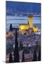 Castle of Malcesine at Lake Garda, Veneto, Italy-Rainer Mirau-Mounted Photographic Print