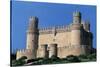 Castle of Manzanares El Real-null-Stretched Canvas