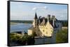 Castle of Montsoreau, dated 15th century, along the Loire River, UNESCO World Heritage Site, Anjou,-Nathalie Cuvelier-Framed Stretched Canvas