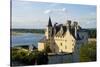 Castle of Montsoreau, dated 15th century, along the Loire River, UNESCO World Heritage Site, Anjou,-Nathalie Cuvelier-Stretched Canvas