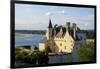 Castle of Montsoreau, dated 15th century, along the Loire River, UNESCO World Heritage Site, Anjou,-Nathalie Cuvelier-Framed Photographic Print