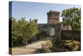 Castle of Pambre, Palas de Rei, Lugo, Galicia, Spain, Europe-Michael Snell-Stretched Canvas