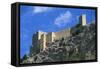 Castle of Santa Catalina-null-Framed Stretched Canvas