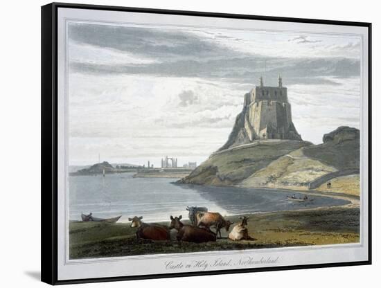 'Castle on Holy Island, Northumberland', 1822-William Daniell-Framed Stretched Canvas