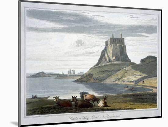 'Castle on Holy Island, Northumberland', 1822-William Daniell-Mounted Giclee Print