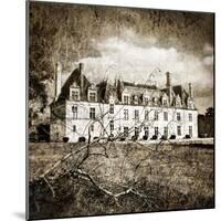 Castle On Moonlight - Artistic Toned Picture-Maugli-l-Mounted Art Print