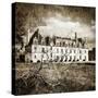 Castle On Moonlight - Artistic Toned Picture-Maugli-l-Stretched Canvas