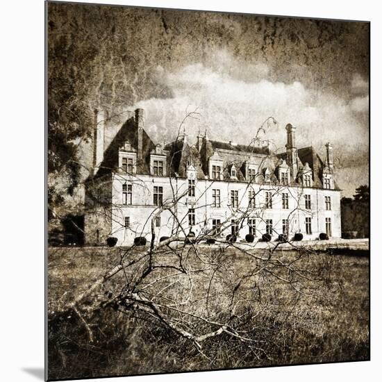 Castle On Moonlight - Artistic Toned Picture-Maugli-l-Mounted Art Print