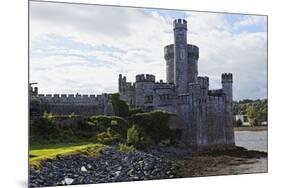 Castle on the River Lee, Blackrock, Ireland-George Oze-Mounted Premium Photographic Print