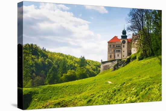 Castle Pieskowa Skala in National Ojcow Park, Poland-dziewul-Stretched Canvas