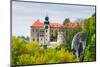 Castle Pieskowa Skala in National Ojcow Park, Poland-dziewul-Mounted Photographic Print
