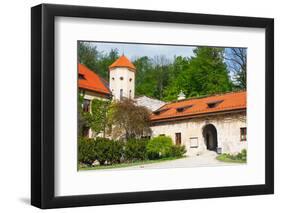 Castle Pieskowa Skala in National Ojcow Park, Poland-dziewul-Framed Photographic Print