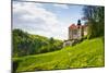 Castle Pieskowa Skala in National Ojcow Park, Poland-dziewul-Mounted Photographic Print