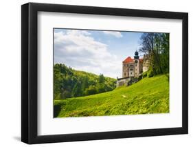 Castle Pieskowa Skala in National Ojcow Park, Poland-dziewul-Framed Photographic Print