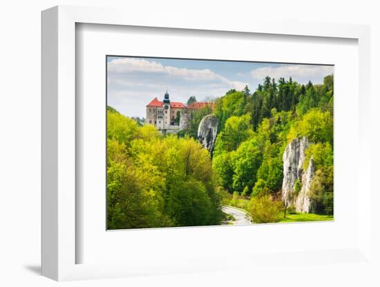 Castle Pieskowa Skala in National Ojcow Park, Poland-dziewul-Framed Photographic Print