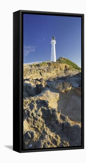 Castle Point Lighthouse, Wellington, North Island, New Zealand-Rainer Mirau-Framed Stretched Canvas