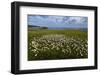 Castle Point, Loop Head, County Clare, Munster, Republic of Ireland, Europe-Carsten Krieger-Framed Photographic Print