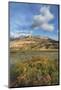 Castle Reef Mountain. Rocky Mountain front ranges near Augusta, Montana.-Alan Majchrowicz-Mounted Photographic Print