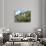 Castle Rheinstein, Rheinland-Pflaz, Germany-Miva Stock-Photographic Print displayed on a wall