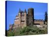 Castle, Rhine River, Germany-David Herbig-Stretched Canvas