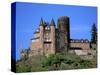 Castle, Rhine River, Germany-David Herbig-Stretched Canvas