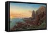 Castle Rock, Cape Schanck, 1865-Eugen von Guerard-Framed Stretched Canvas