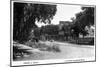 Castle Rock, Colorado - Street Scene-Lantern Press-Mounted Art Print