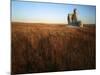 Castle Rock, Gove County, Kansas, USA-Charles Gurche-Mounted Photographic Print