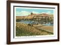 Brown Frame