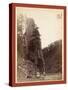 Castle Rock. Scenery on Road Between Hill City and Rockerville, Dak-John C. H. Grabill-Stretched Canvas