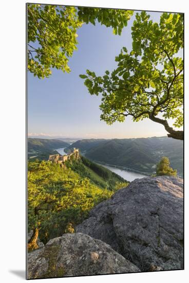 Castle Ruin Aggstein, the Danube, Wachau, Austria-Rainer Mirau-Mounted Photographic Print