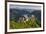 Castle Ruin Aggstein, the Danube, Wachau, Austria-Rainer Mirau-Framed Photographic Print