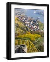 Castle Ruin Hinterhaus in the Village Spitz in the Wachau. Austria-Martin Zwick-Framed Photographic Print