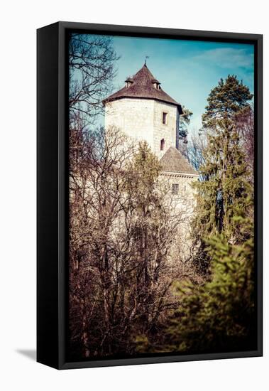 Castle Ruins on A Hill Top in Ojcow, Poland-Curioso Travel Photography-Framed Stretched Canvas