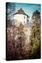 Castle Ruins on A Hill Top in Ojcow, Poland-Curioso Travel Photography-Stretched Canvas