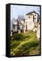 Castle Ruins on A Hill Top in Ojcow, Poland-Curioso Travel Photography-Framed Stretched Canvas