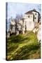 Castle Ruins on A Hill Top in Ojcow, Poland-Curioso Travel Photography-Stretched Canvas