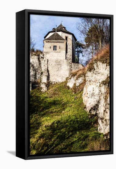 Castle Ruins on A Hill Top in Ojcow, Poland-Curioso Travel Photography-Framed Stretched Canvas