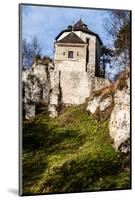 Castle Ruins on A Hill Top in Ojcow, Poland-Curioso Travel Photography-Mounted Photographic Print