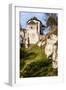 Castle Ruins on A Hill Top in Ojcow, Poland-Curioso Travel Photography-Framed Photographic Print