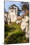 Castle Ruins on A Hill Top in Ojcow, Poland-Curioso Travel Photography-Mounted Photographic Print