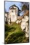 Castle Ruins on A Hill Top in Ojcow, Poland-Curioso Travel Photography-Mounted Photographic Print