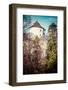 Castle Ruins on A Hill Top in Ojcow, Poland-Curioso Travel Photography-Framed Photographic Print