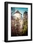 Castle Ruins on A Hill Top in Ojcow, Poland-Curioso Travel Photography-Framed Photographic Print