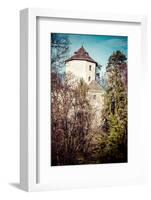 Castle Ruins on A Hill Top in Ojcow, Poland-Curioso Travel Photography-Framed Photographic Print