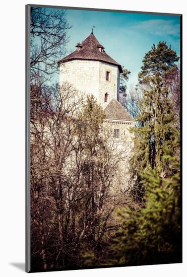 Castle Ruins on A Hill Top in Ojcow, Poland-Curioso Travel Photography-Mounted Photographic Print