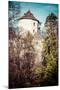 Castle Ruins on A Hill Top in Ojcow, Poland-Curioso Travel Photography-Mounted Photographic Print